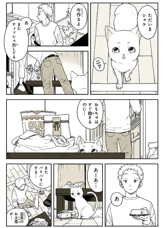 『特別じゃない日』 15667054.webp