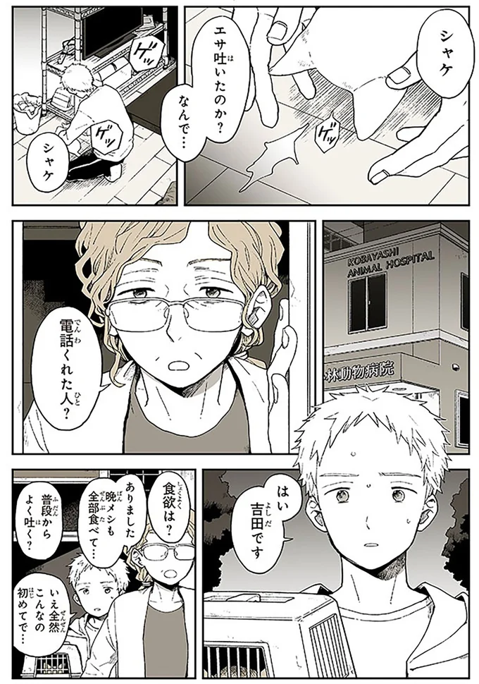 『特別じゃない日』 15667056.webp