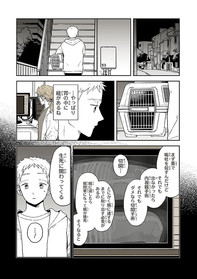 『特別じゃない日』 15667059.webp