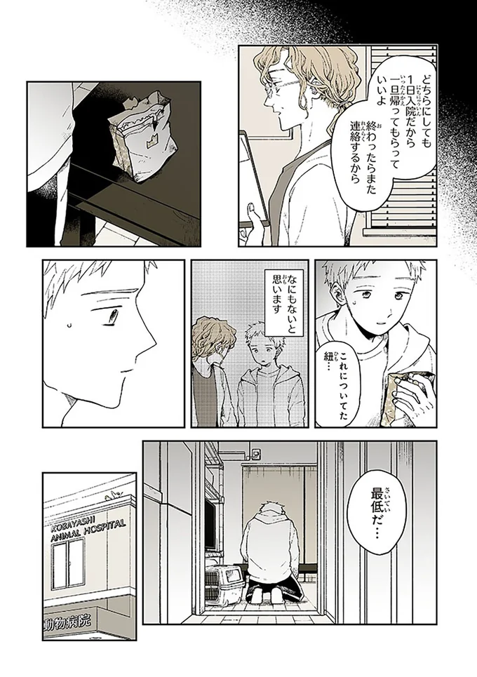 『特別じゃない日』 15667060.webp