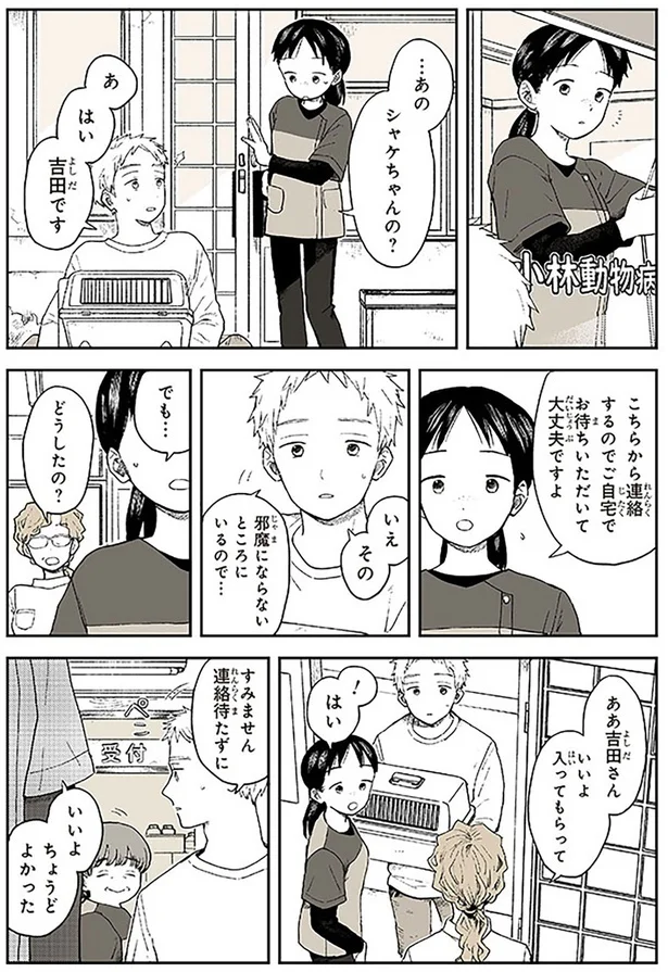 『特別じゃない日』 15678926.webp