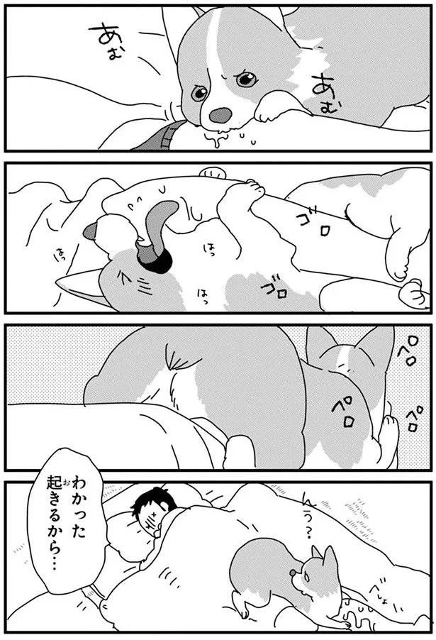 『あしょんでよッ3～7』 15680628.webp