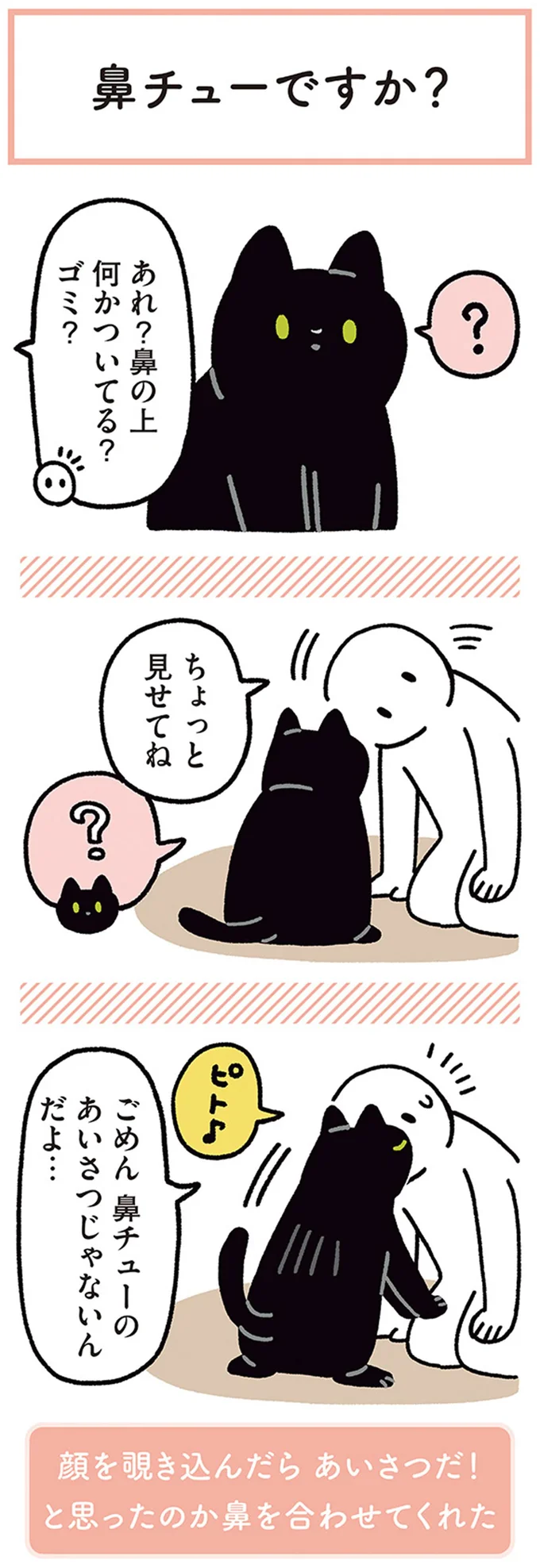 「鼻チューですか？」 と愛猫がピトッ。ごめん、本当はそうじゃなくて...／黒猫ろんと暮らしたら4 15694316.webp