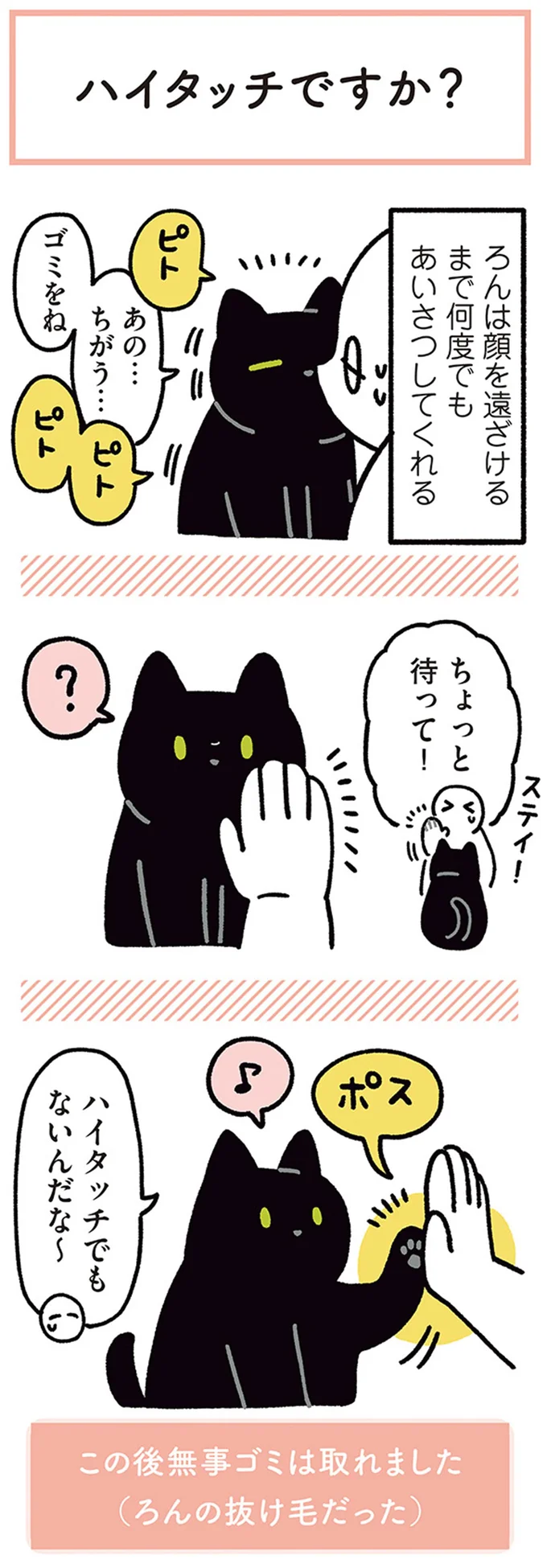「鼻チューですか？」 と愛猫がピトッ。ごめん、本当はそうじゃなくて...／黒猫ろんと暮らしたら4 15694317.webp