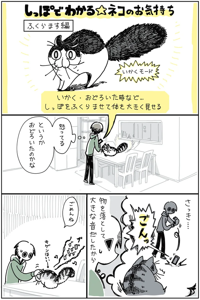 『夜は猫といっしょ』1～3 15694818.webp