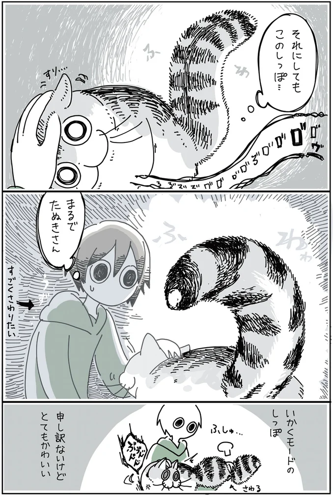 『夜は猫といっしょ』1～3 15694819.webp