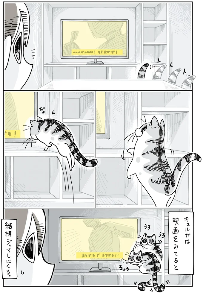 『夜は猫といっしょ』1～3 15695261.webp