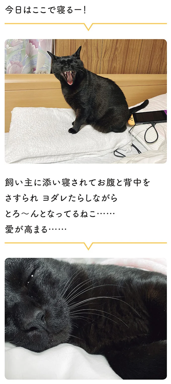 『黒猫ろんと暮らしたら』4～7 15696184.webp