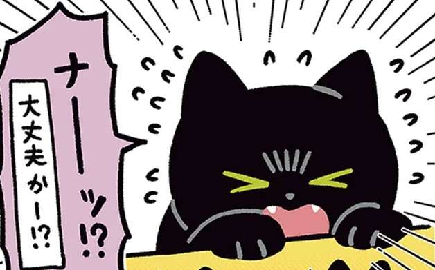 愛猫の「悲痛な鳴き声」。段ボールの中で見つけたのは...／黒猫ろんと暮らしたら4