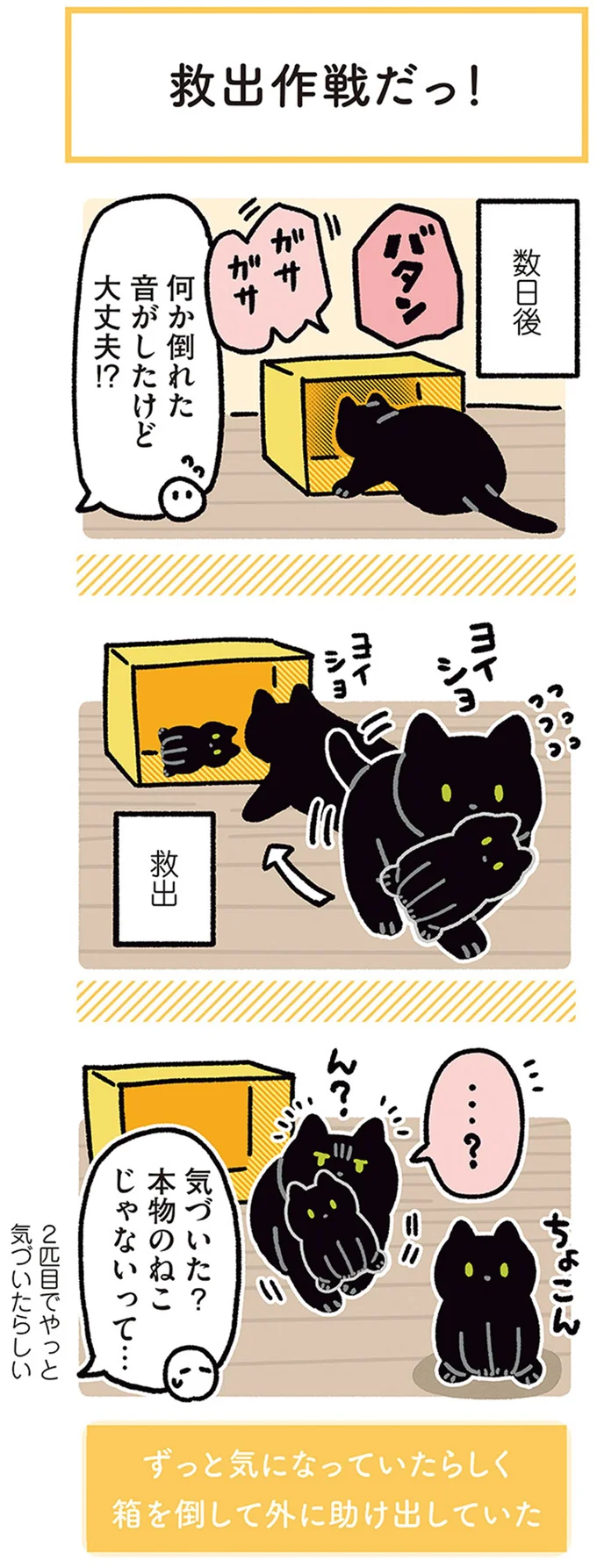 『黒猫ろんと暮らしたら』4～7 15696226.webp