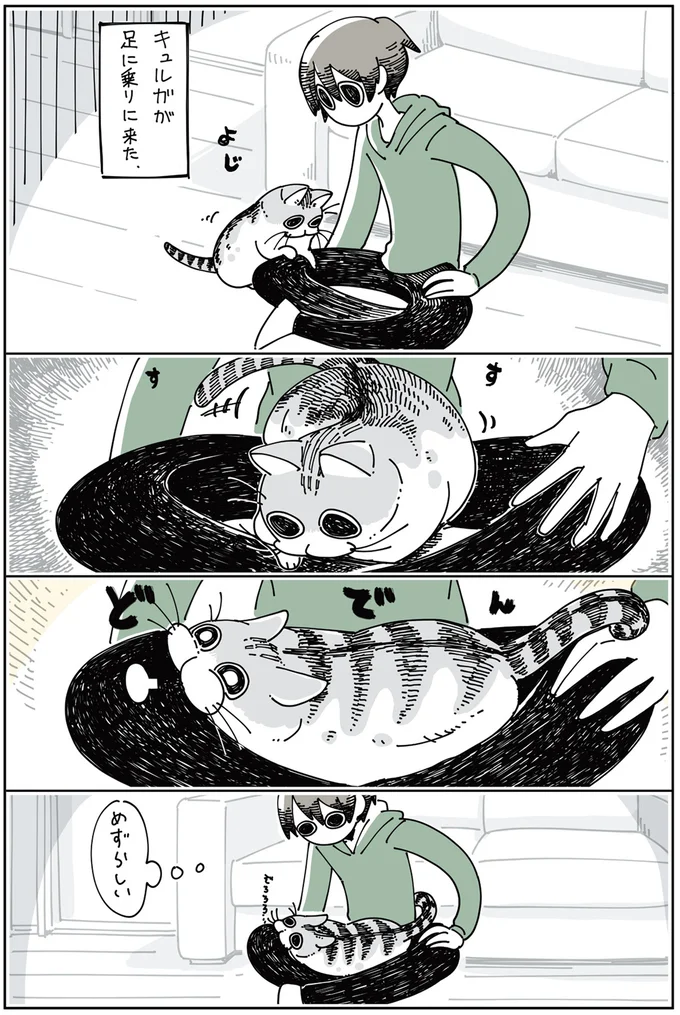 『夜は猫といっしょ』1～3 15697021.webp