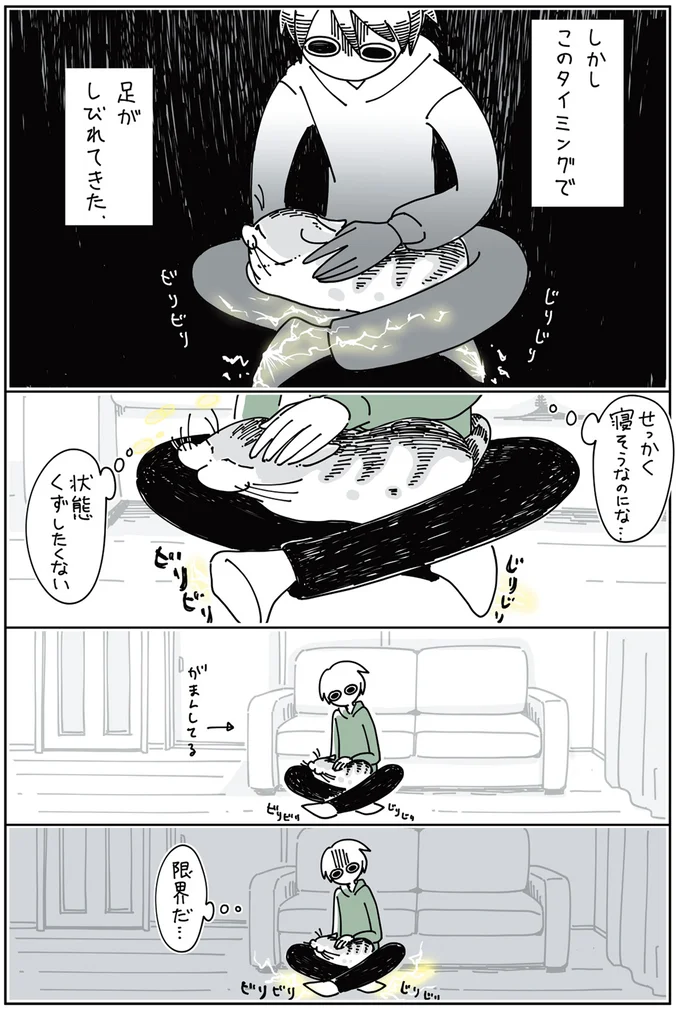 『夜は猫といっしょ』1～3 15697023.webp