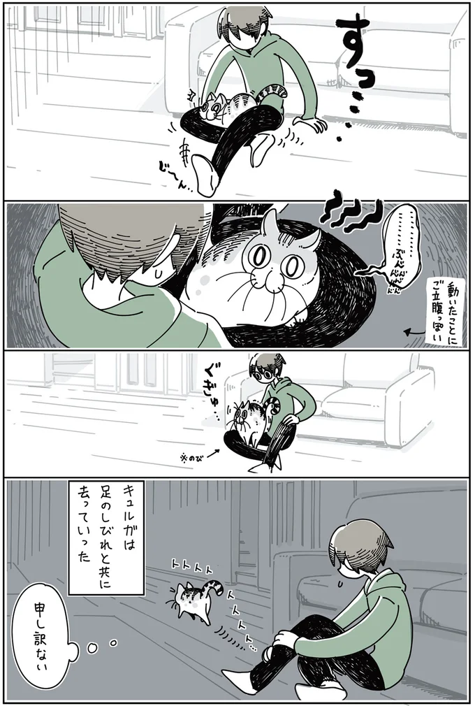 『夜は猫といっしょ』1～3 15697024.webp