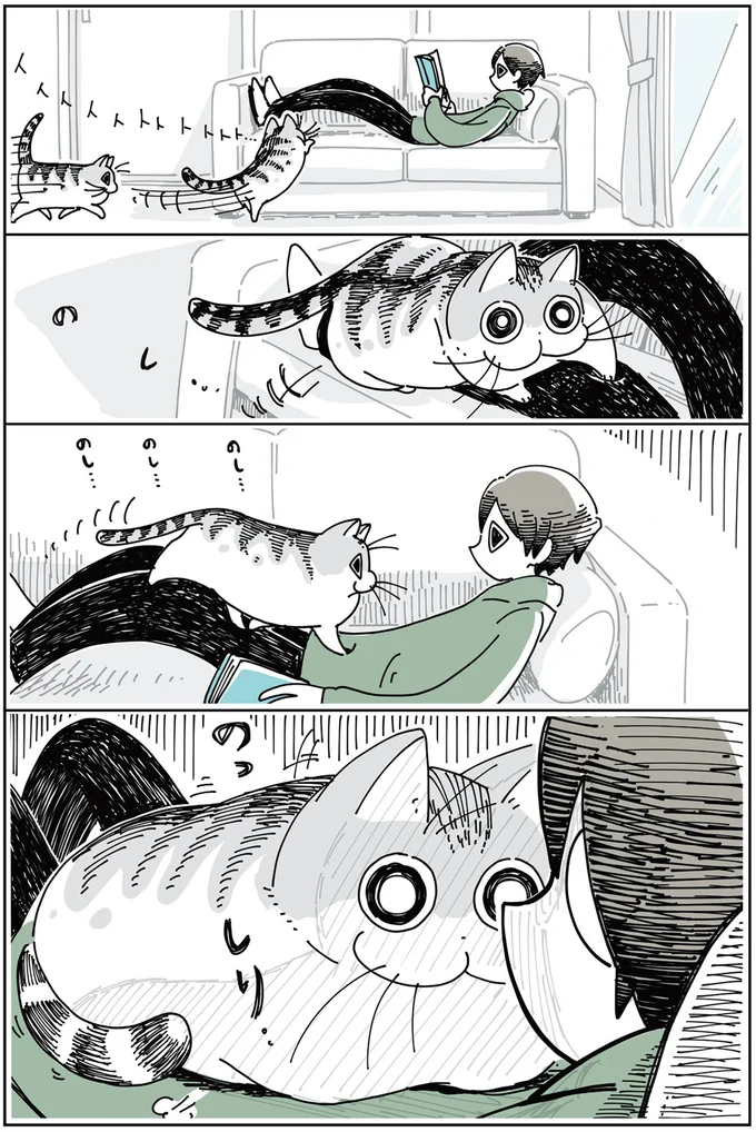 『夜は猫といっしょ』1～3 15697031.webp