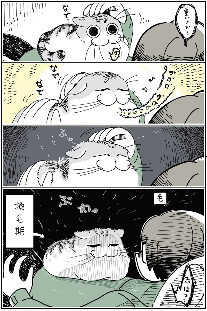 『夜は猫といっしょ』1～3 15697032.webp