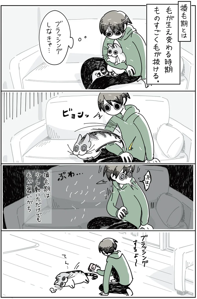 『夜は猫といっしょ』1～3 15697033.webp