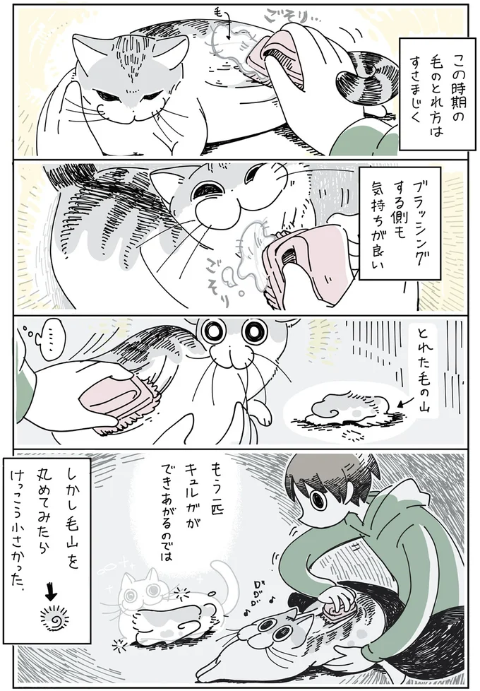 『夜は猫といっしょ』1～3 15697034.webp