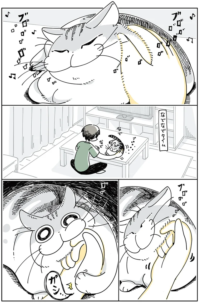 『夜は猫といっしょ』1～3 15697039.webp