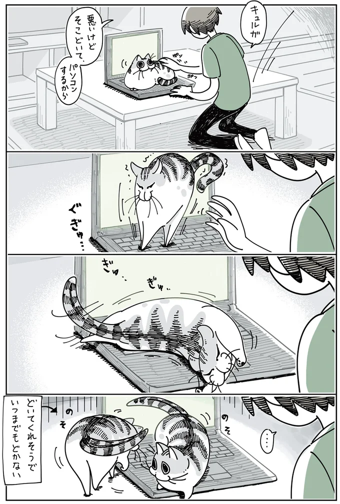 『夜は猫といっしょ』1～3 15697046.webp