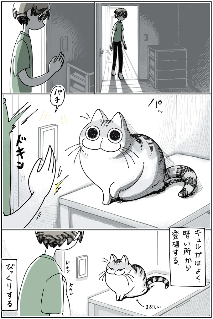 『夜は猫といっしょ』1～3 15697081.webp