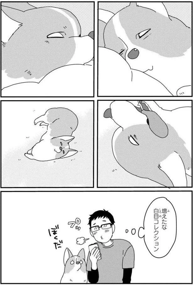 『あしょんでよッ3～7』 15699688.webp