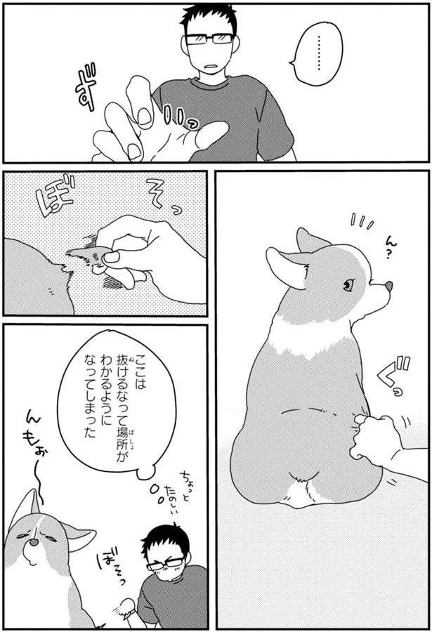 『あしょんでよッ3～7』 15699700.webp