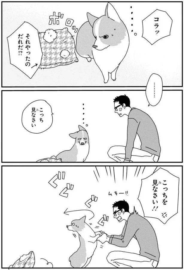 『あしょんでよッ3～7』 15699744.webp