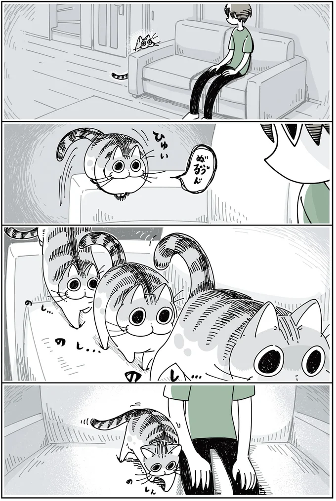 『夜は猫といっしょ』1～3 15699782.webp