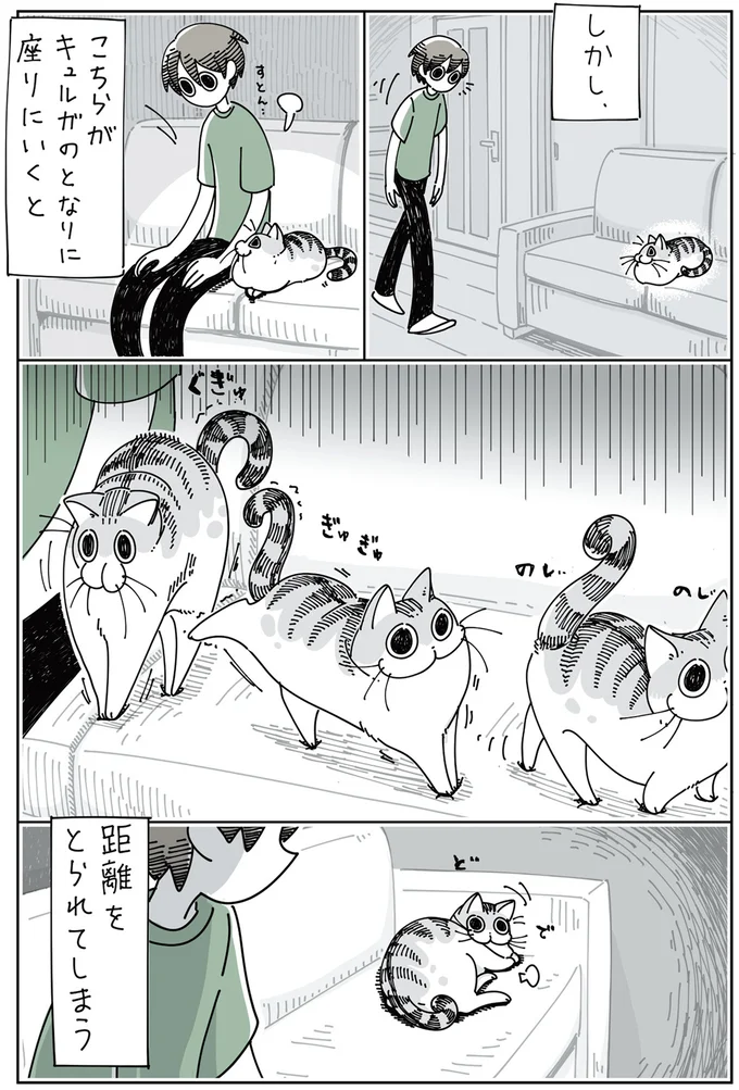 『夜は猫といっしょ』1～3 15699784.webp