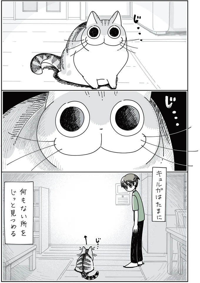 『夜は猫といっしょ』1～3 15699788.webp