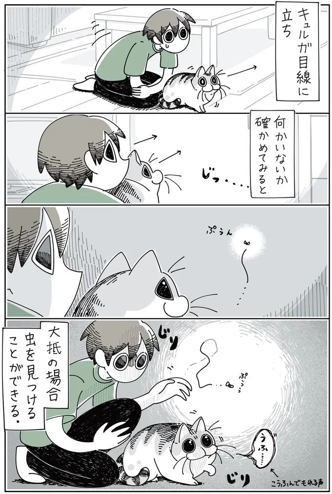 『夜は猫といっしょ』1～3 15699790.webp