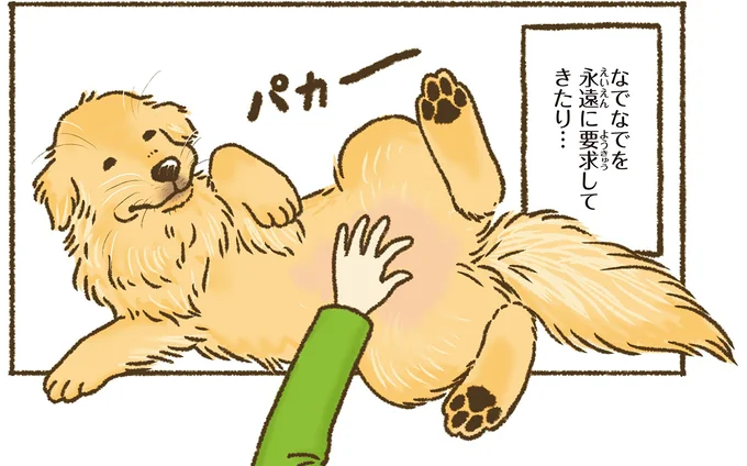 『今日もゴールデンレトリバーに癒されて』 15706016.webp