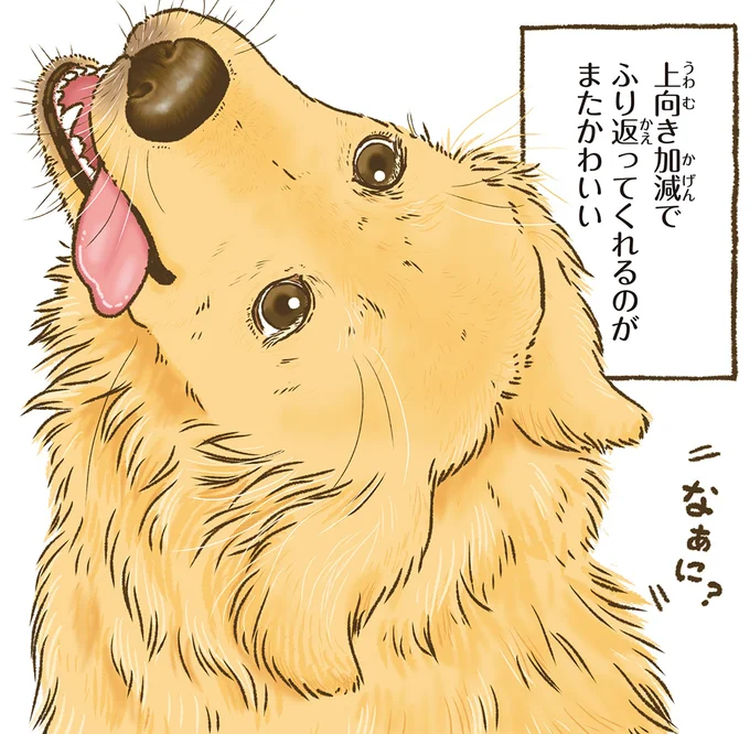 『今日もゴールデンレトリバーに癒されて』 15710967.webp