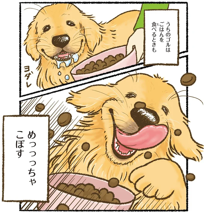 『今日もゴールデンレトリバーに癒されて』 15711781.webp