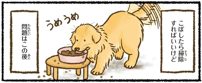 『今日もゴールデンレトリバーに癒されて』 15711783.webp