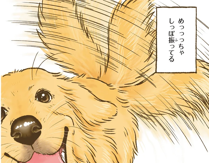 『今日もゴールデンレトリバーに癒されて』 15712357.webp