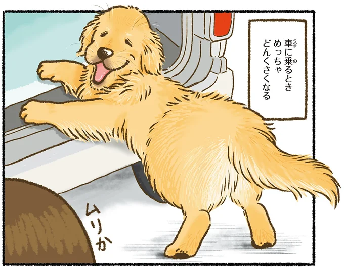 『今日もゴールデンレトリバーに癒されて』 15712365.webp