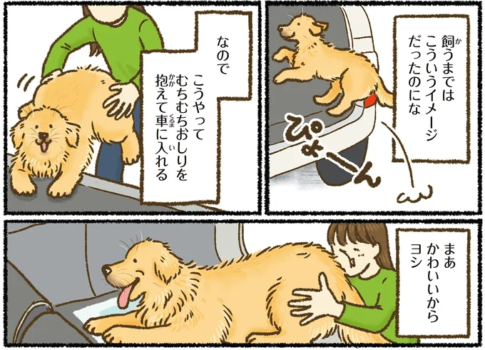 『今日もゴールデンレトリバーに癒されて』 15712366.webp