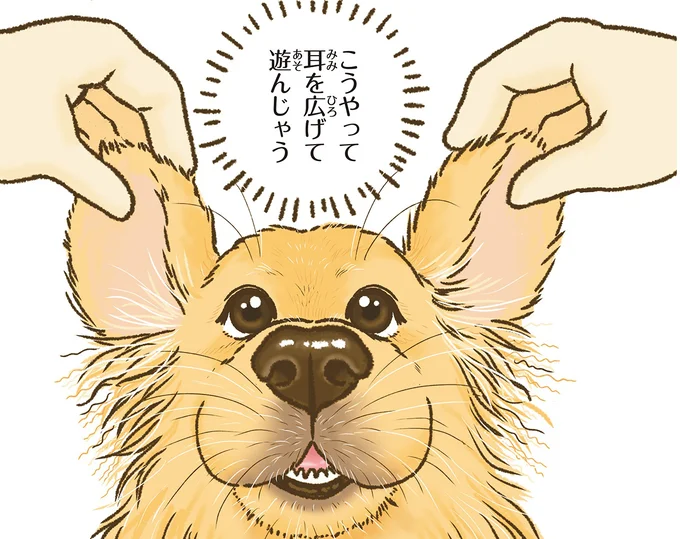 『今日もゴールデンレトリバーに癒されて』 15712377.webp