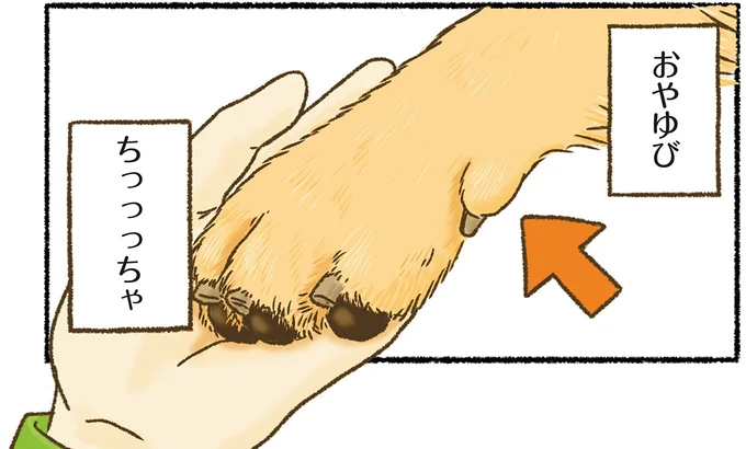 『今日もゴールデンレトリバーに癒されて』 15712381.webp