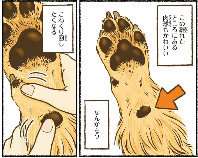 『今日もゴールデンレトリバーに癒されて』 15712383.webp