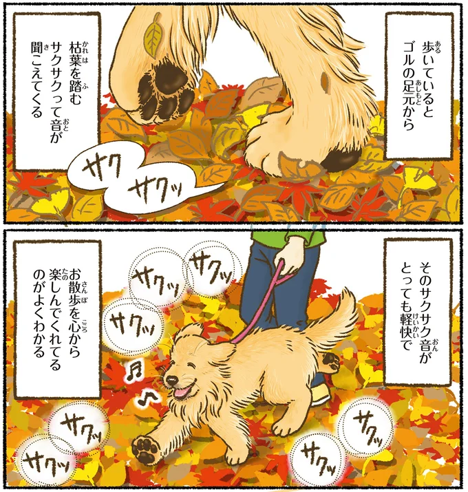 『今日もゴールデンレトリバーに癒されて』 15712400.webp