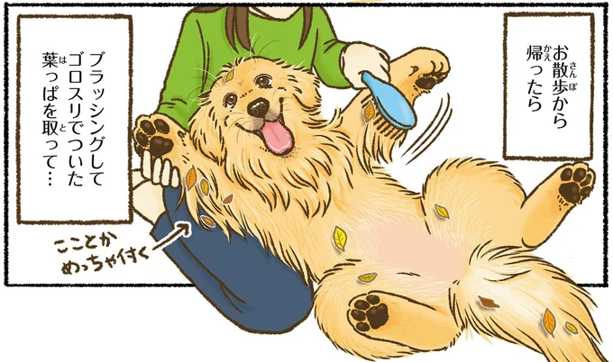 『今日もゴールデンレトリバーに癒されて』 15712401.webp