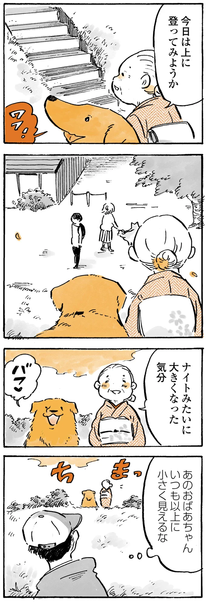 『姫ばあちゃんとナイト』1～2 15724246.webp