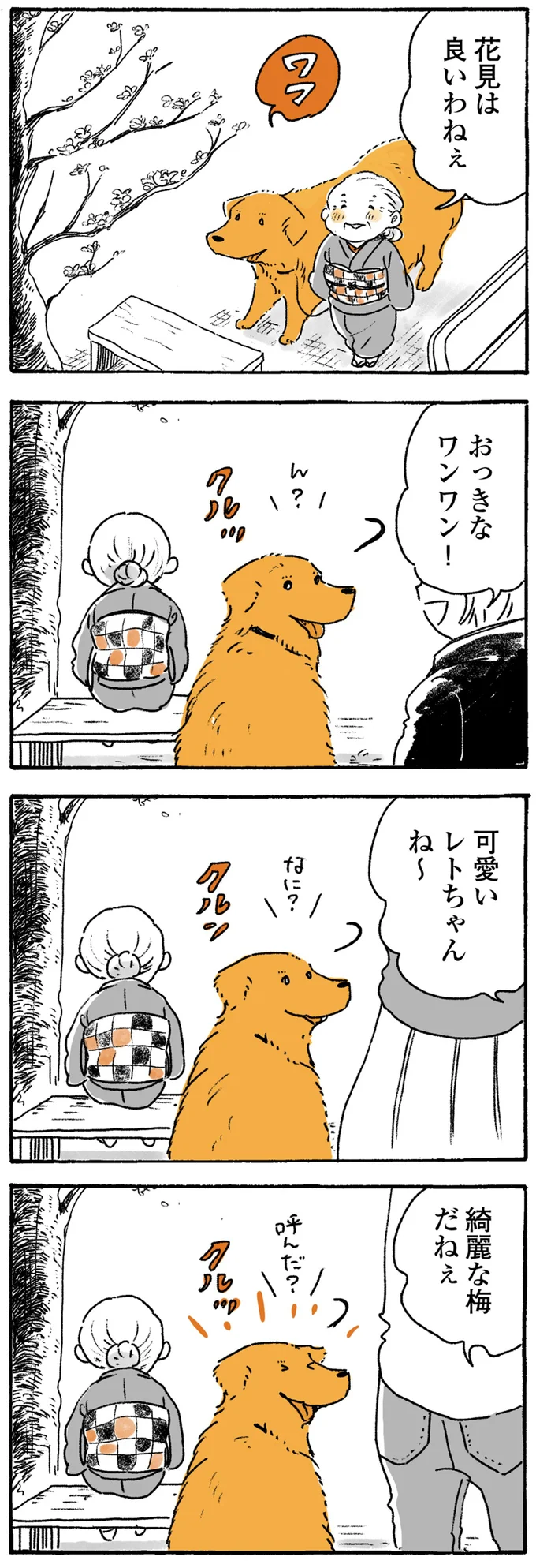 『姫ばあちゃんとナイト』1～2 15724251.webp