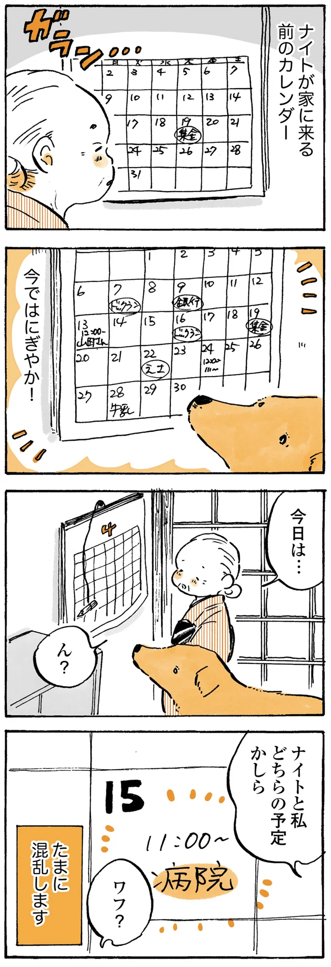 『姫ばあちゃんとナイト』1～2 15724255.webp