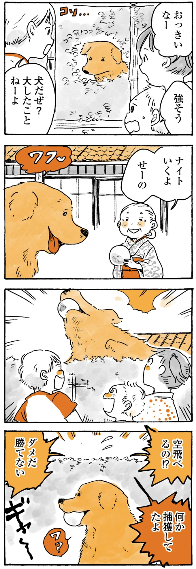 『姫ばあちゃんとナイト』1～2 15724370.webp