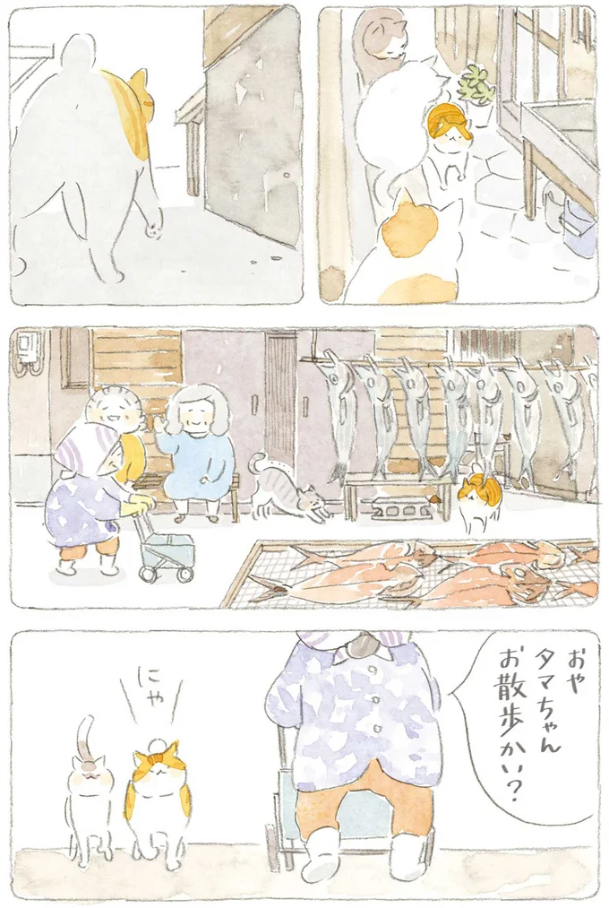 『ねことじいちゃん』6～11 15743720.webp