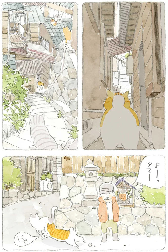 『ねことじいちゃん』6～11 15743721.webp