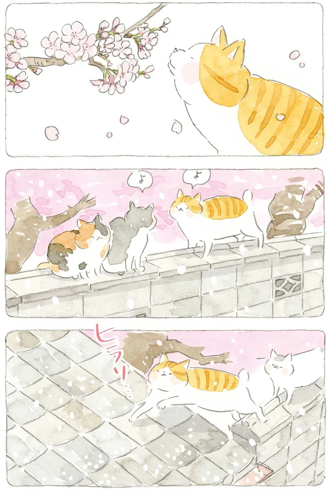 『ねことじいちゃん』6～11 15743723.webp
